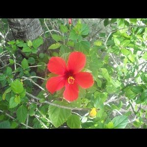 Meet your Posher, Mikayla